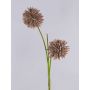 Allium artificial CHIRARA, marrón, 95cm, Ø10cm