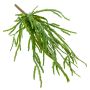 Rhipsalis artificial colgante HADRIAN, en vara de fijación, verde, 35cm