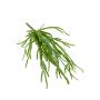 Rhipsalis artificial colgante HADRIAN, en vara de fijación, verde, 35cm