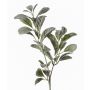 Rama de Stachys byzantina artificial LEVIN, gris-verde, 70cm