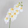 Rama de Phalaenopsis artificial OPHELIA, blanco, 100cm, Ø12cm