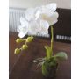 Orquídea Phalaenopsis artificial VEENA en bola de tierra, blanco, 40cm