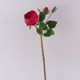 Rosa repollo artificial MIRETTA, rojo, 60cm, Ø3-9cm
