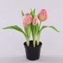 Tulipán artificial CAITLYN en maceta decorativa, rosa-verde, 25cm, Ø2-6cm