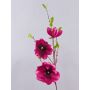 Magnolia falsa FINAH, rosa, 90cm, Ø9-15cm