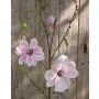 Magnolia artificial FINAH, rosa, 90cm, Ø9-15cm