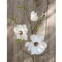 Rama de magnolia falsa FINAH, blanco-crema, 90cm, Ø9-15cm