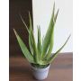 Aloe sintético NAMIKA, en tiesto decorativo, verde, 50cm, Ø25cm