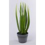 Aloe sintético NAMIKA, en tiesto decorativo, verde, 60cm, Ø30cm