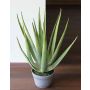 Aloe sintético NAMIKA, en tiesto decorativo, verde, 60cm, Ø30cm