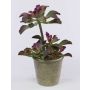 Echeveria artificial SHAUNA en maceta decorativa, verde-morado, 40cm