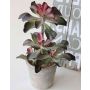 Echeveria artificial SHAUNA en maceta decorativa, verde-morado, 40cm