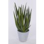 Aloe sintético NAMIKA, maceta de hormigón, verde, 40cm, Ø20cm