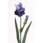 Iris artificial ALYSSA, azul, 70cm, Ø13cm