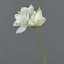 Amaryllis flor sintética BENITA, blanco, 55cm, Ø10cm