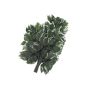 Rama de Ficus de plástico SAKURA, 12 piezas, verde-blanco, 60cm