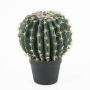 Cactus asiento de suegra de plástico ELVIO, maceta decorativa, verde-amarillo, 35cm, Ø25cm