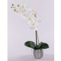 Orquídea Phalaenopsis artificial EMILIA, maceta decorativa, blanco, 45cm