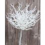 Rama de coral artificial MARON, brillo, blanco, 60cm
