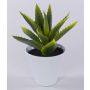 Aloe Vera artificial ROSALINA en maceta de cerámica, verde, 21cm