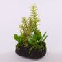 Arreglo de suculentas artificiales BAMBI en bola de tierra, verde, 19cm