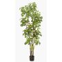 Polyscias planta artificial FILARO, tronco artificial, verde, 195cm