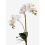 Orquídea Phalaenopsis sintética CANDIDA vara fijación, blanco, 65cm, Ø7-8cm