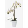 Orquídea Phalaenopsis sintética CANDIDA tiesto cerámica, blanco, 65cm, Ø7-8cm