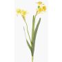 Narcisos artificiales NEELA, amarillo, 50cm, Ø6cm