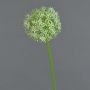 Flor de Allium artificial SAMARA, crema, 75cm, Ø12cm