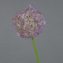 Flor de Allium artificial SAMARA, lila, 75cm, Ø12cm