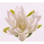 Lírio de agua sintético SCILLA, flotante, crema, 4cm, Ø16cm