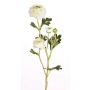 Rama de ranúnculo artificial NOEMIE, crema, 65cm, Ø4-8cm