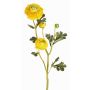Rama de ranúnculo artificial NOEMIE, amarillo, 65cm, Ø4-8cm