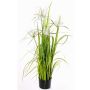 Hierba estrella artificial TAIGA con panículas, verde, 110cm