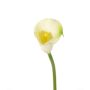 Calla artificial CHIDORA, crema, 55cm, 5x6cm