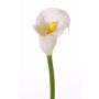 Calla artificial CHIDORA, blanco, 55cm, 4,5x5,5cm
