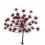 Rama de flor de eneldo artificial KURAM, rojo burdeos, 45cm, Ø35cm