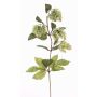 Rama de lúpulo artificial AXEL, con flor, verde, 65cm