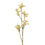 Rama de patas de canguro artificial SHANTI, amarillo, 75cm, Ø4-7cm