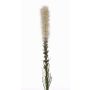 Liatris artificial MITSA, crema, 80cm, Ø6cm