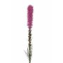 Liatris artificial MITSA, rosa, 80cm, Ø5cm
