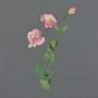 Rama de lisianthus artificial NOWA, rosa, 80cm, Ø7cm
