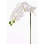 Orquídea Phalaenopsis artificial GALINA, blanco, 60cm, Ø6-8cm