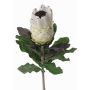 Protea artificial NELLI, blanco-amarillo, 75cm, Ø8cm