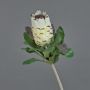 Protea artificial NELLI, blanco-amarillo, 75cm, Ø8cm