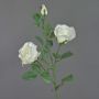 Rama de rosas artificiales ARIANE, blanco, 75cm, Ø7-10cm