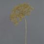 Flor Heracleum artificial ANSARI marrón, 80cm, Ø22cm