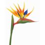 Strelitzia artificial LATIFA, naranja-violeta, 90cm, 17x20cm