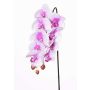 Orquídea Phalaenopsis artificial ENISA, rosa-blanco, 60cm, Ø7-8cm